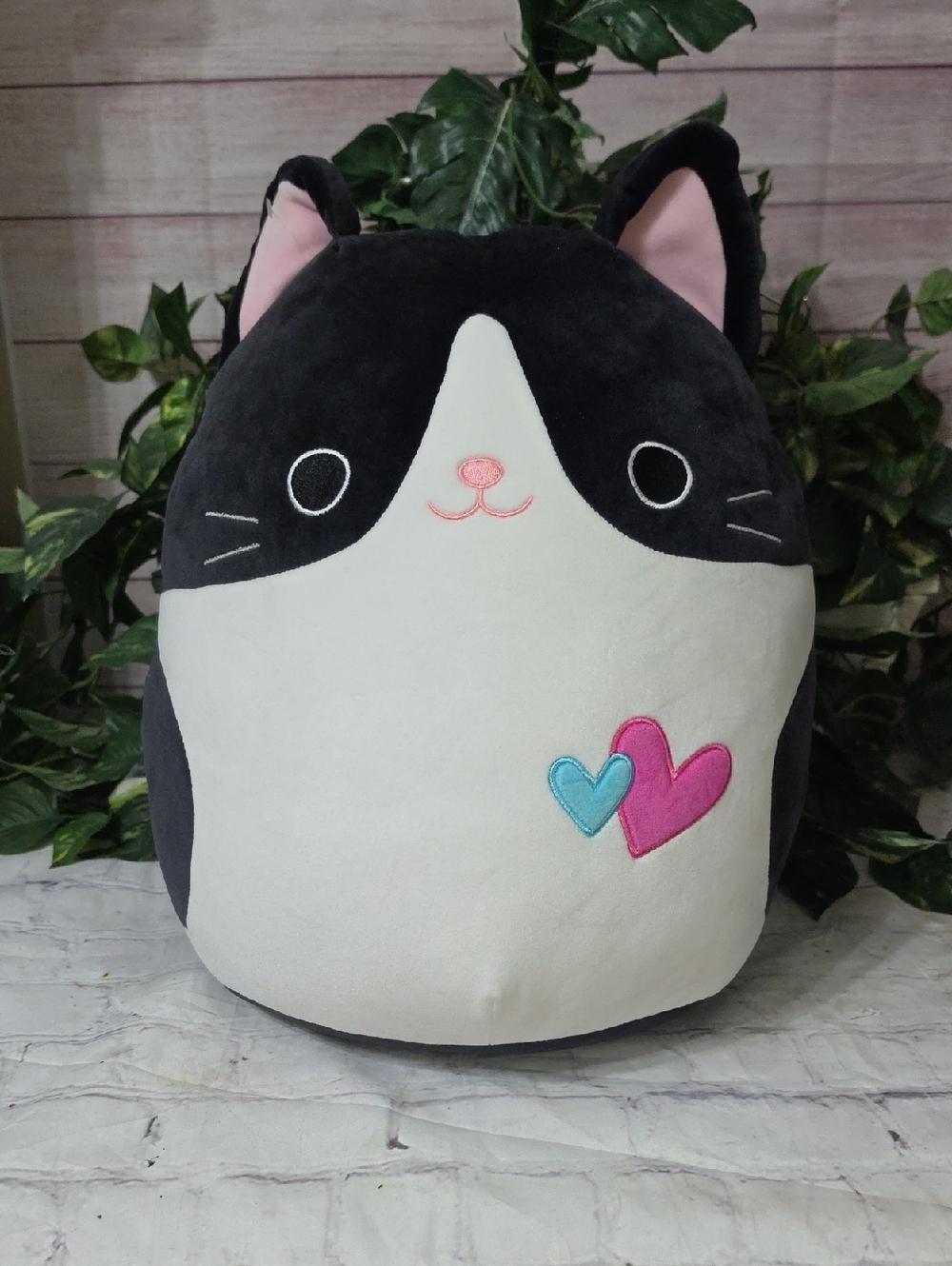 Squishmallows RARE NWOT Cicely The Tuxedo Black, White Cat With Hearts